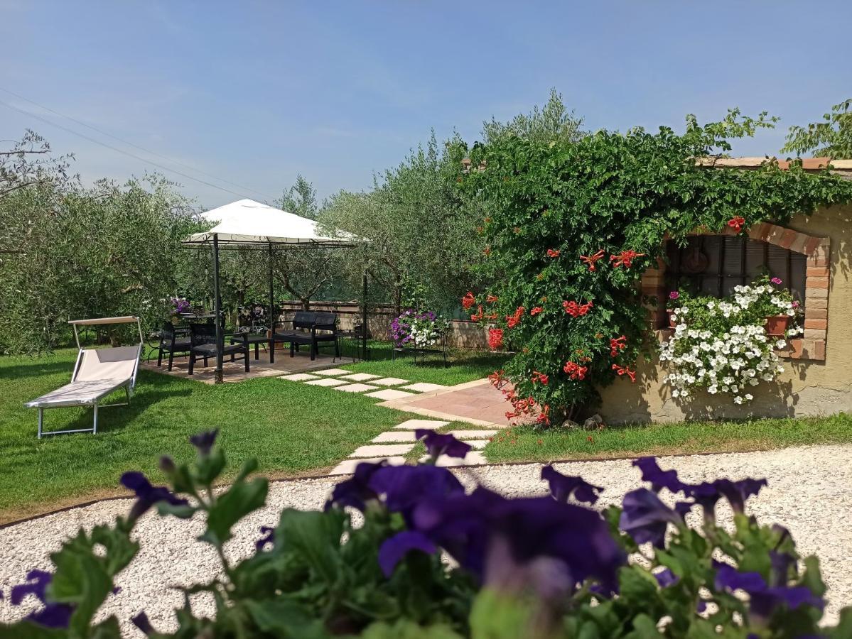 Colà Le Zampolle B & B المظهر الخارجي الصورة